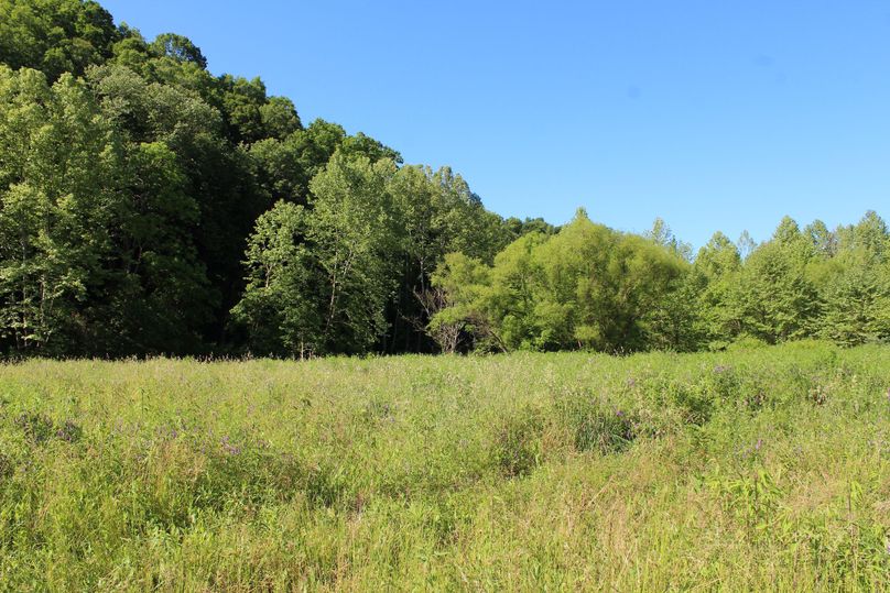 001 ground level view of the open 2 acres along Hwy 378