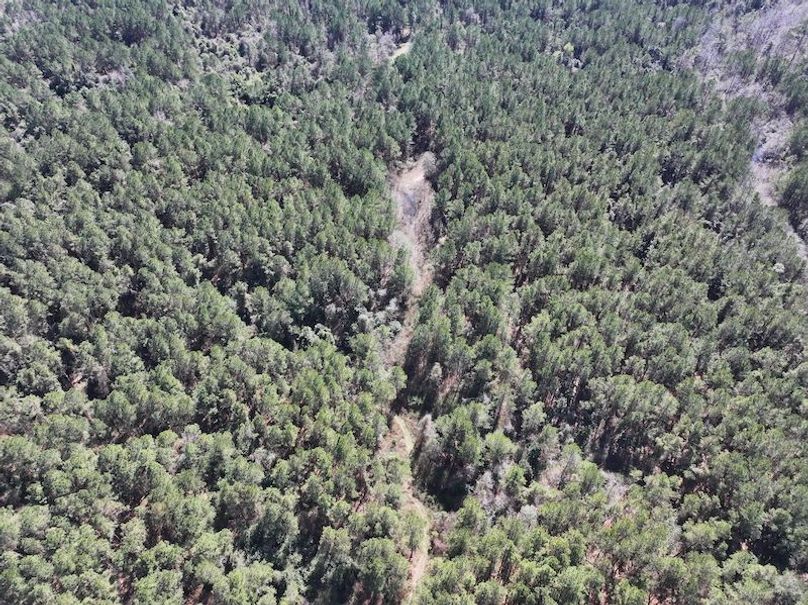 dji_fly_20260224_113302_0325_1772209049576_photo