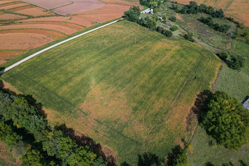 DJI_0167