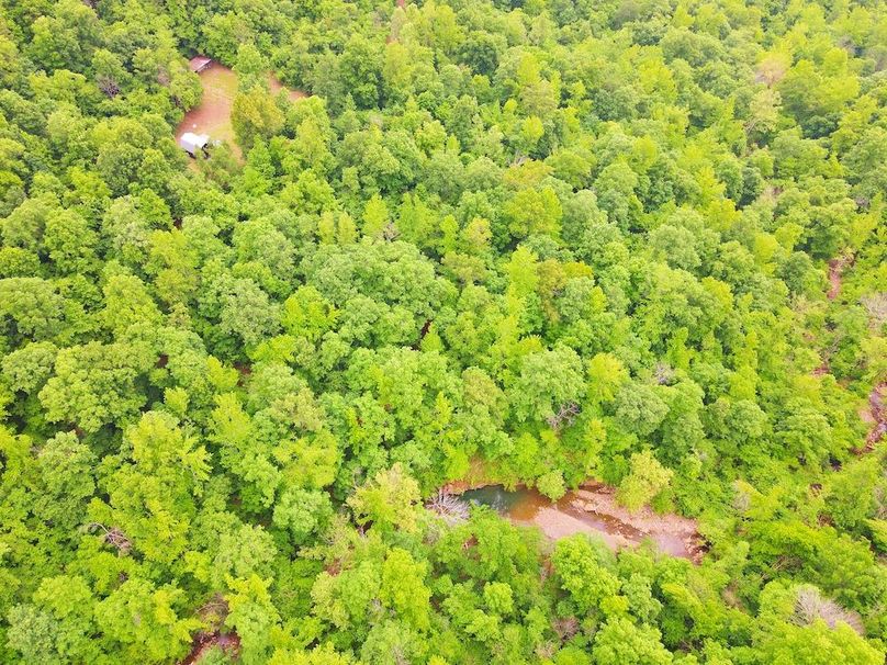 DJI_0351
