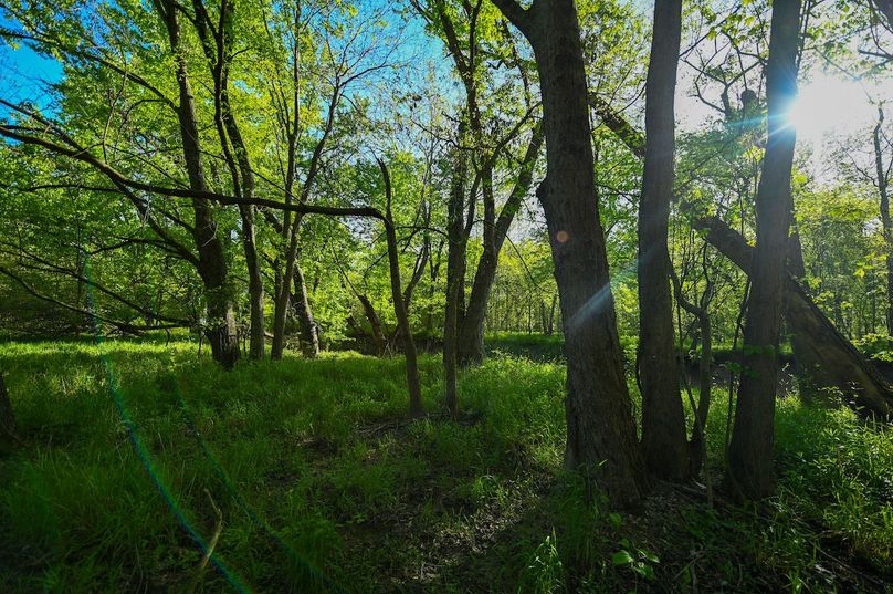 vandalia 450 (2)-3031