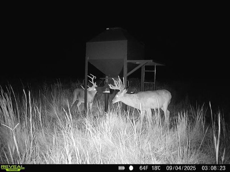 2320058542071028138 2