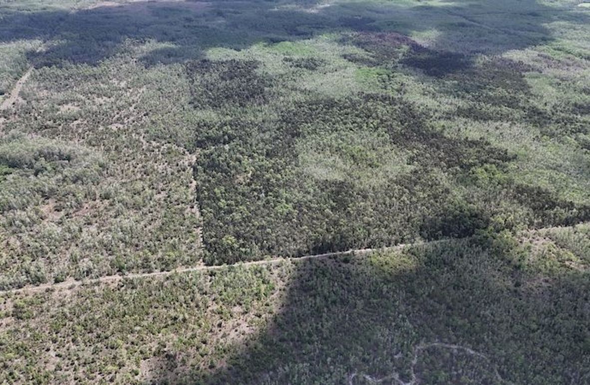 DJI_20260403131129_0491_D