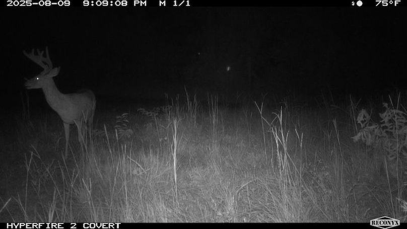 TwinStatesTrailCam27