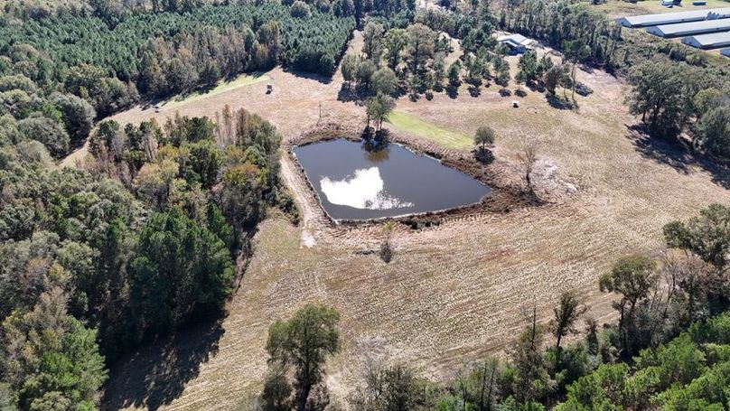 DJI_20251106033754_0851_D