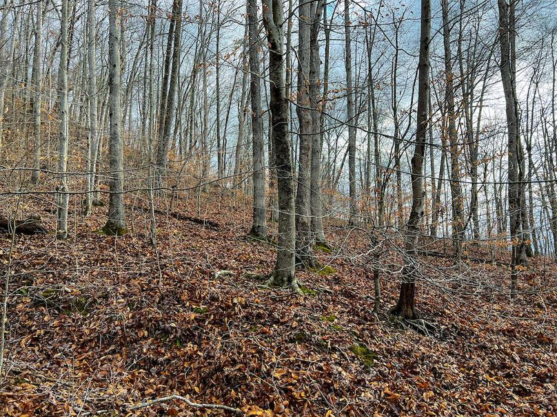 Calhoun, WV 225.69 AC Duffield-76