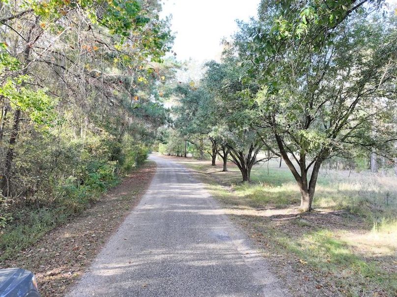 dji_fly_20251118_150856_0735_1763560716816_photo