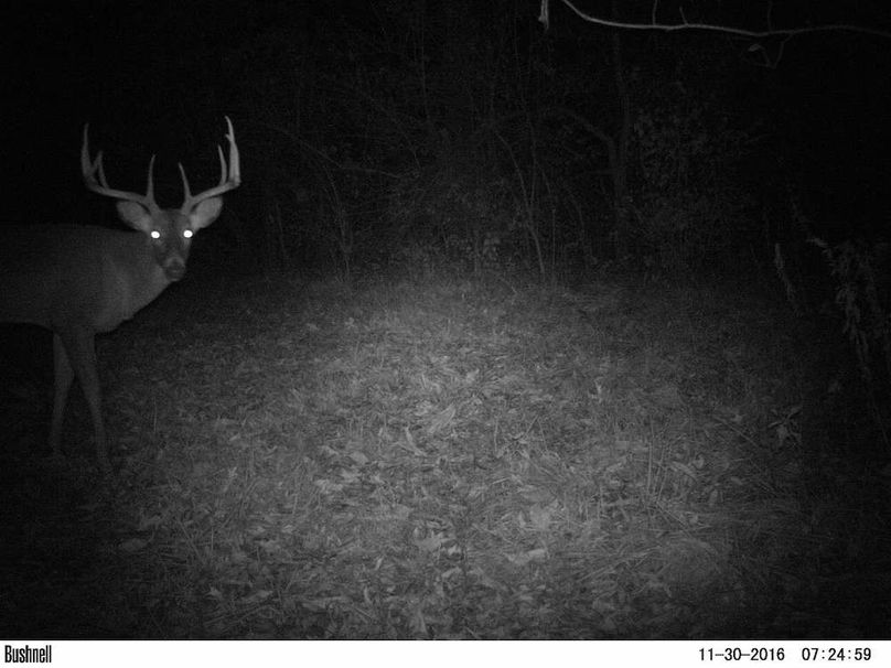 Copy of greene92 trail.15