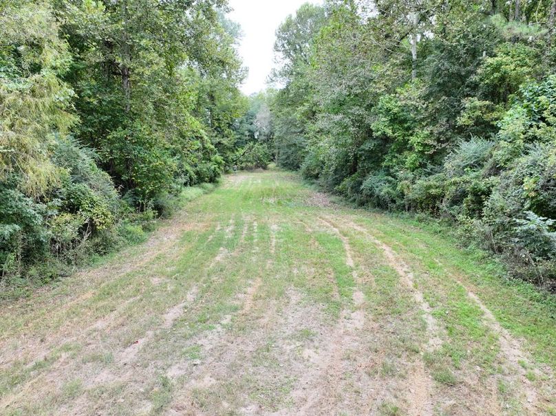 dji_fly_20250924_094556_0536_1758726284519_photo