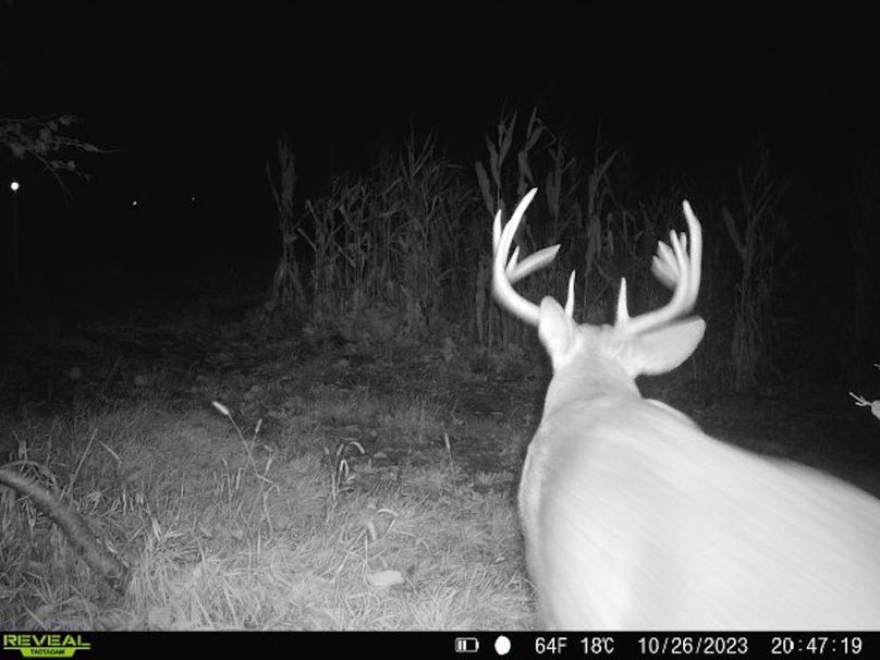 860322064829176-0-4-10262023204718-V-W1005001