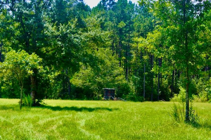 64647448-CA34-4CFE-BE49-ADE15389FAD1_1_105_c