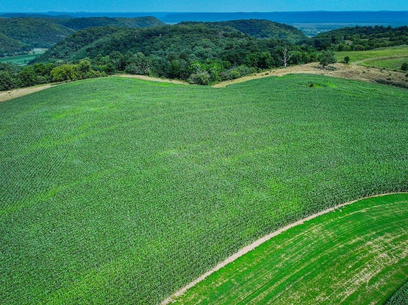 New Albin 8_8 edits-23