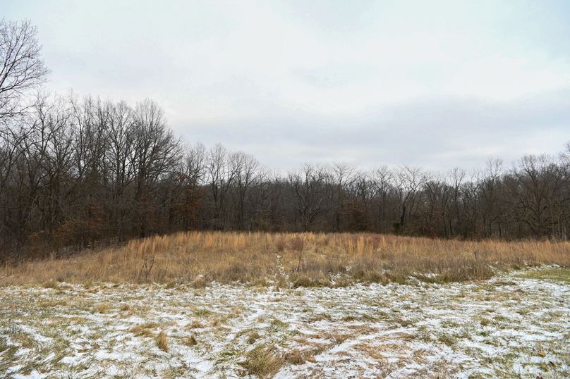 vandalia 450 (2)-1172