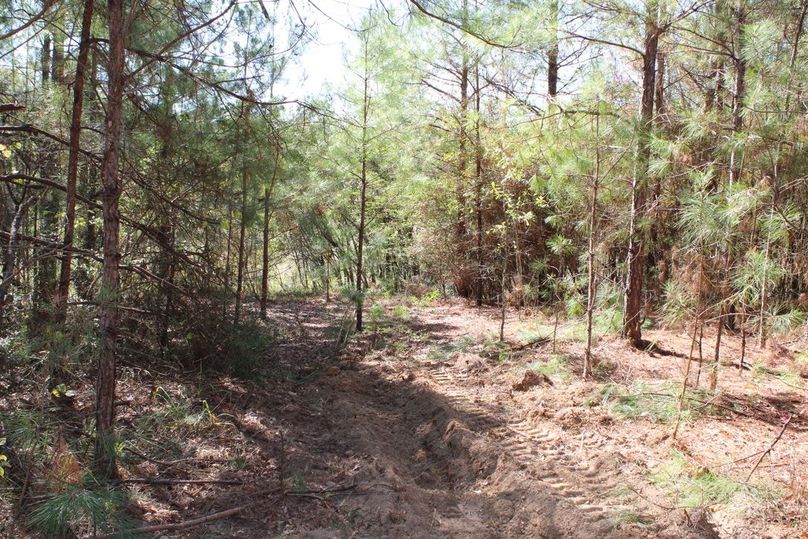 A64F1321-6C91-4064-A9A6-098136BDBB12_1_105_c