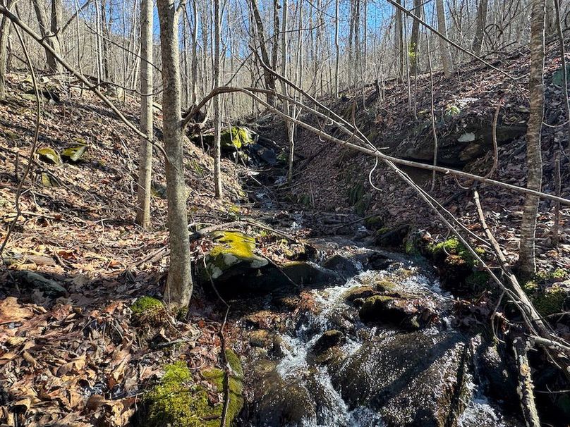 Cherokee 118.85 Harris Top-07