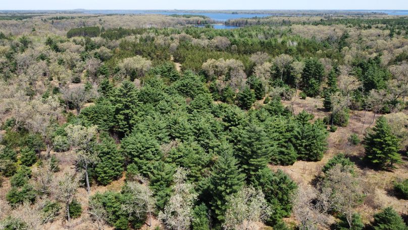 dji_fly_20230511_114816_459_1683838263133_photo_optimized