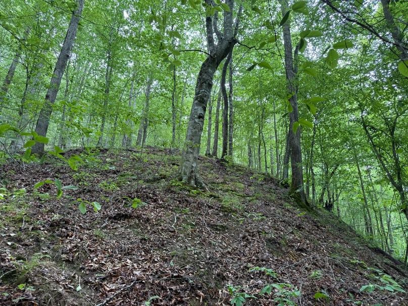 011 open point leading up to the west ridge