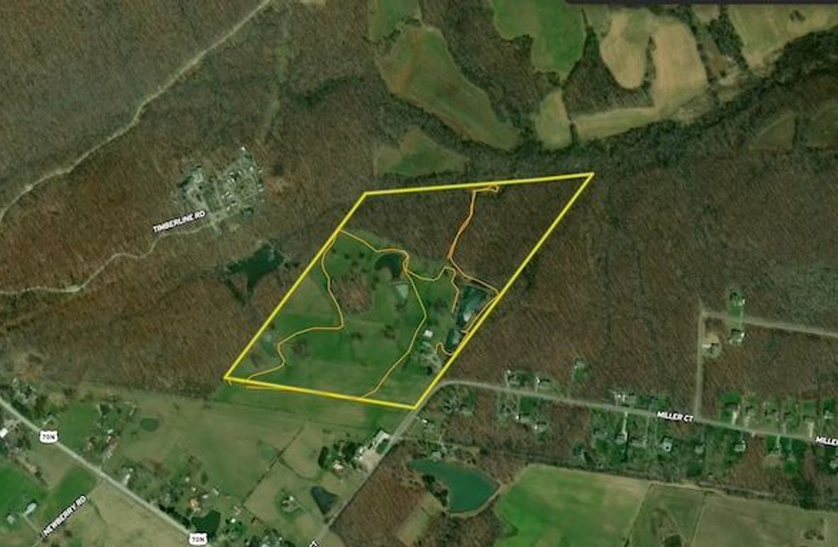 Screenshot 2025-03-20 at 1.35.58 PM