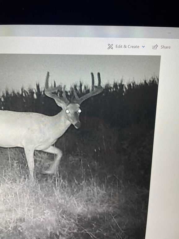 64922083762__B0C0A345-9550-4517-81D4-306F58606A85