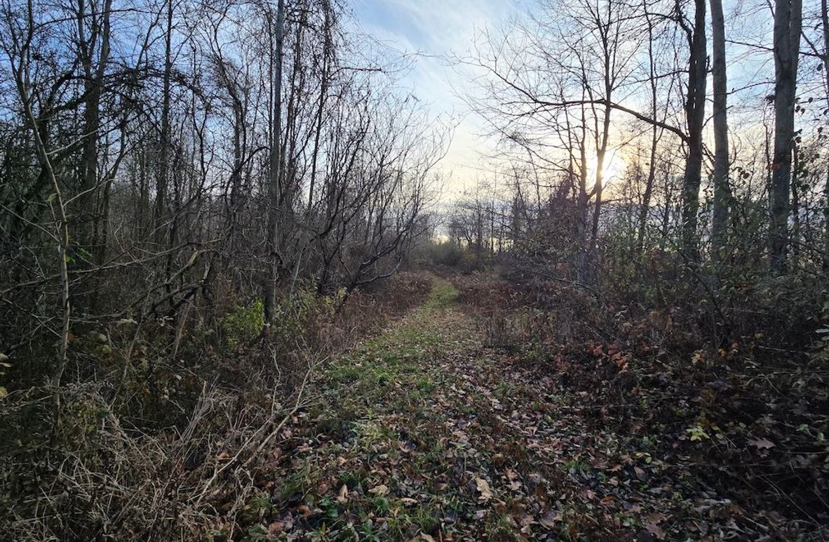 Wayne_25.53_OConnor5