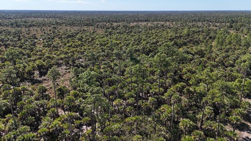 DJI_20251119123946_0975_D