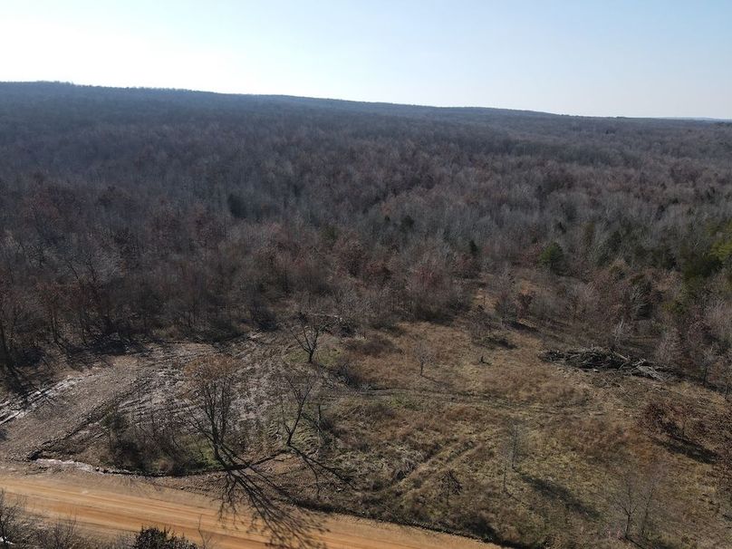 dji_fly_20250213_142106_997_1739478080257_photo