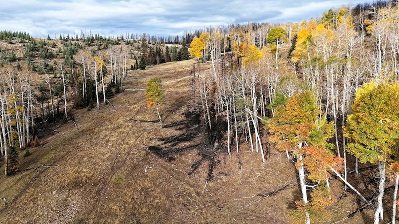 DJI_20250927085513_0126_D