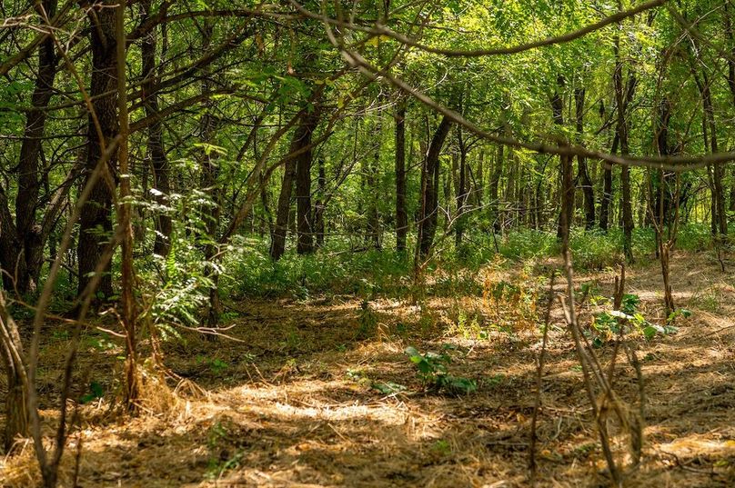 Copy of Copy of TRACT 2-13(1)