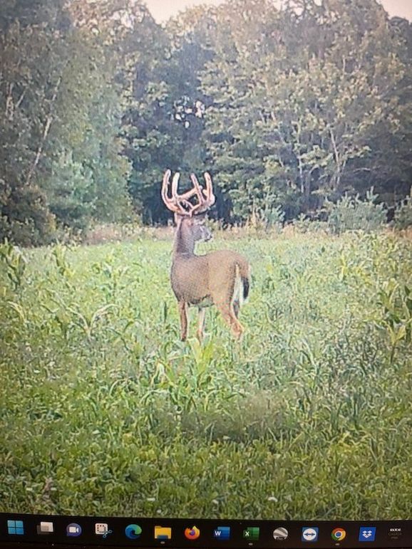 68472180770__41C1027A-61C1-4786-ADBE-91A95785D0DA