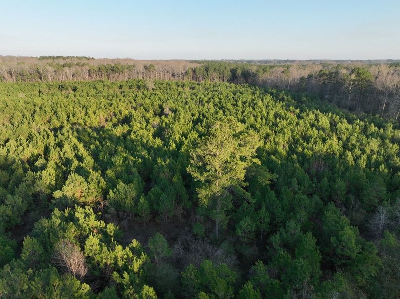 881236EA-5825-4BA2-AFEE-A009756075E1_1_105_c