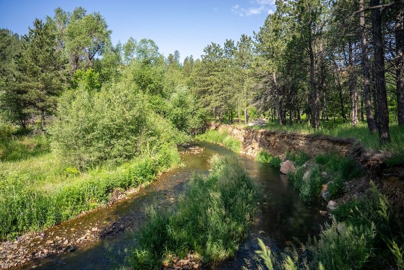 Lawrence SD 50 Featured_ProPhoto-6