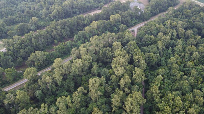 DJI_0665