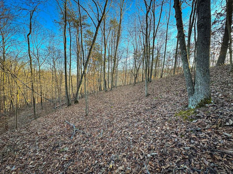 Jackson, WV 118.94 AC Shafer-081