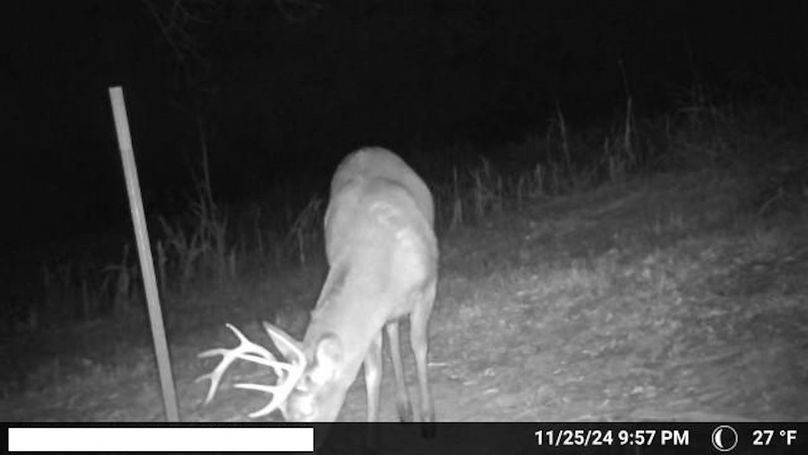 Temp_1580239-20241126040001-100MFCAM_MFDC1376