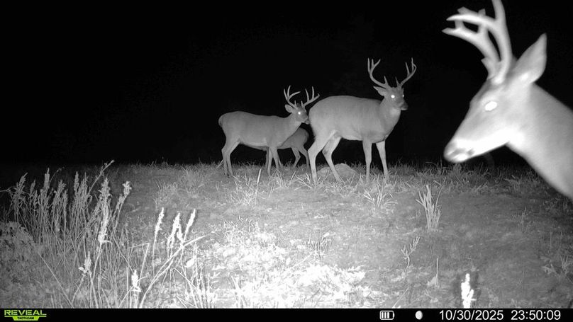 016579007781193-54-3-10312025051934-HD-SYFW01314