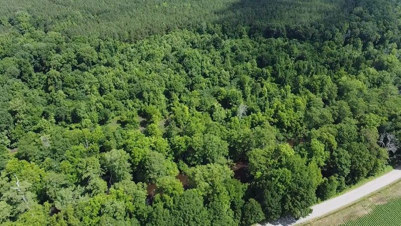 2024-06-01-10-33-28-389