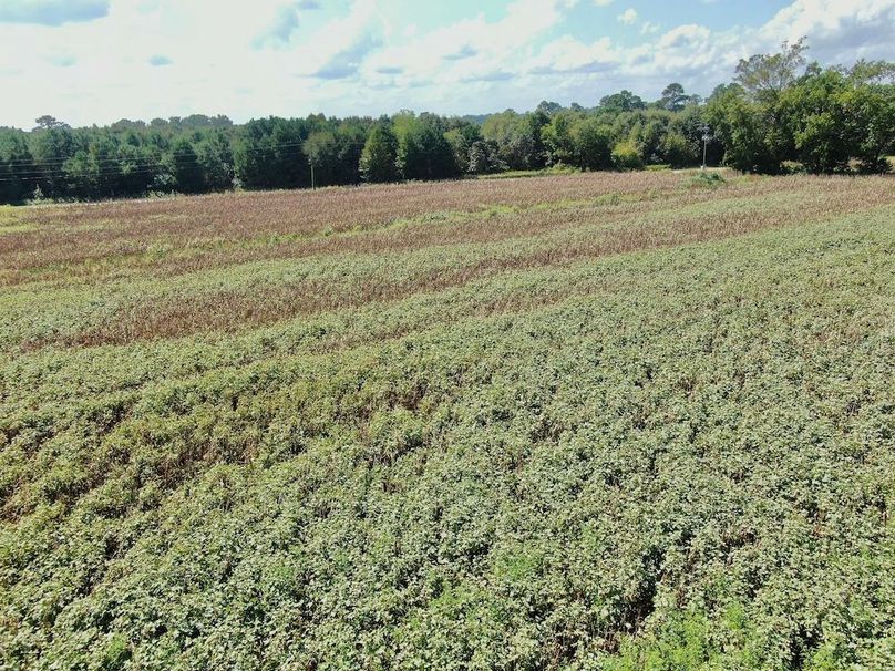 53BF5158-216A-4564-839C-A31E092FB9C9