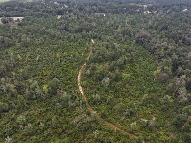 dji_fly_20250915_142640_0458_1758029016464_photo