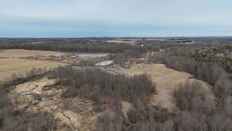DJI_20250304105242_0095_D