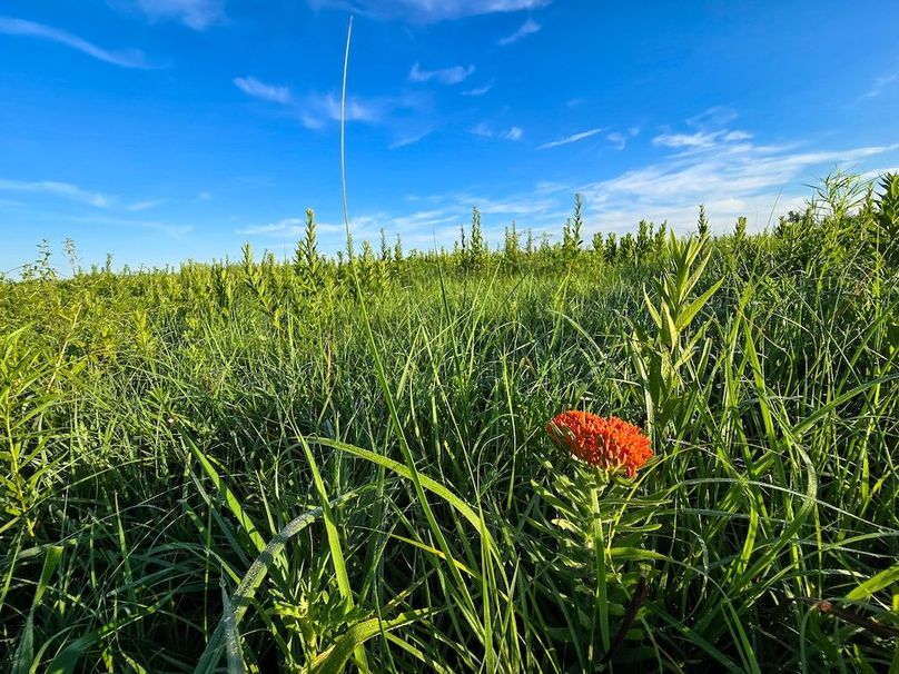 Copy of 20250625_071519