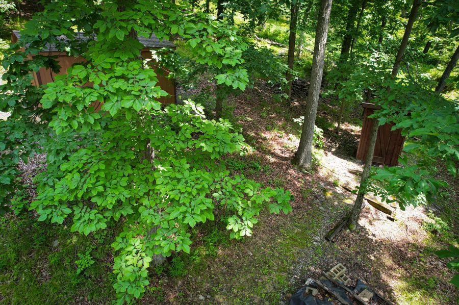 Tompkins_30.49_Schoonover_Photos_42