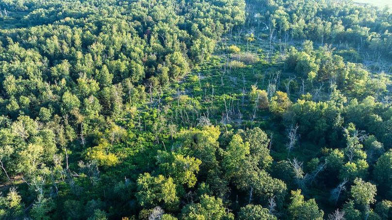 DJI_20250918051150_0016_D