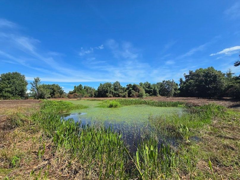 21ac, Sumter, Reelvest38