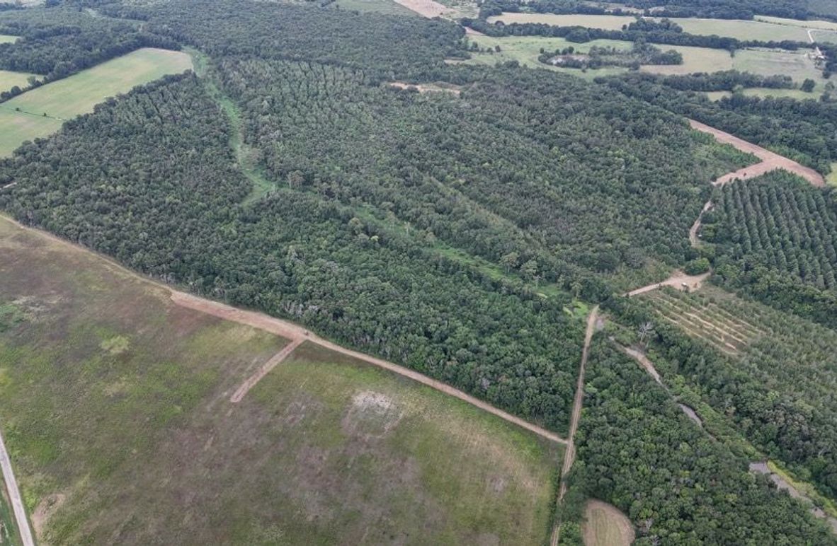 DJI_20250802035315_0553_D