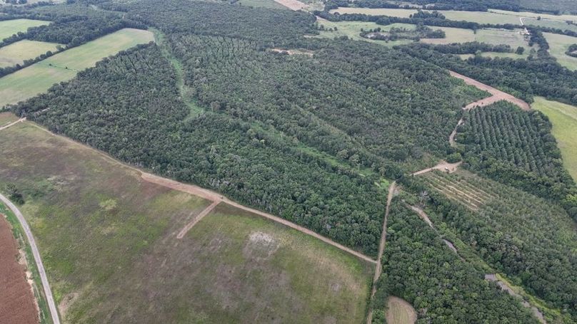 DJI_20250802035315_0553_D