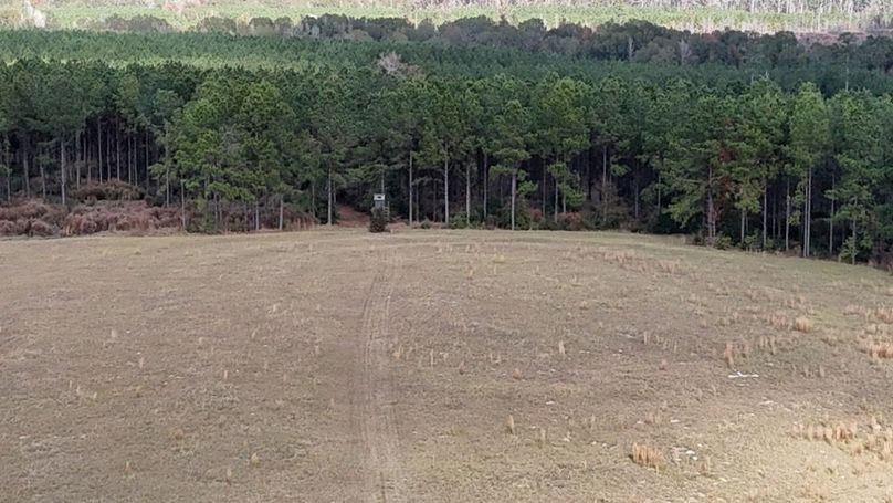 DJI_20251115013049_0869_D