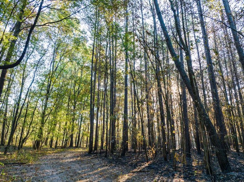 Clay 302.7 Henderson-38