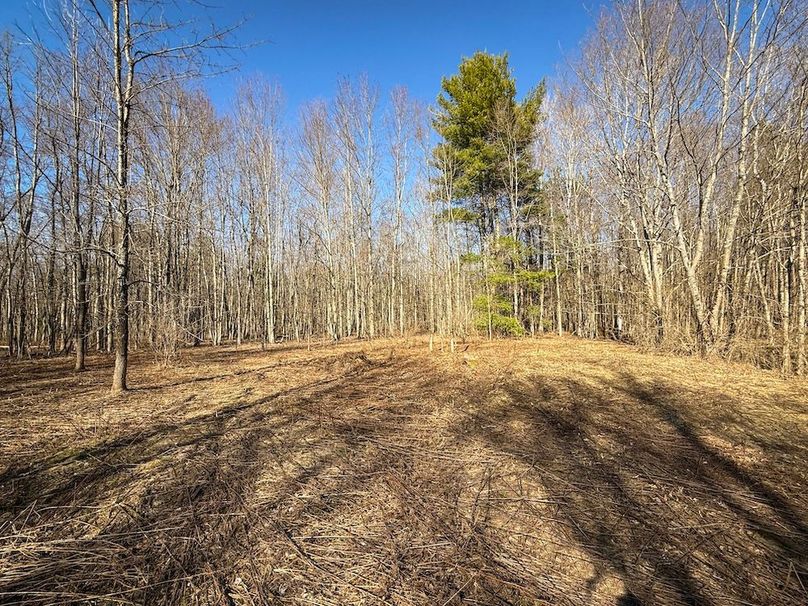 Oswego_16.32_Phillips Photo 26