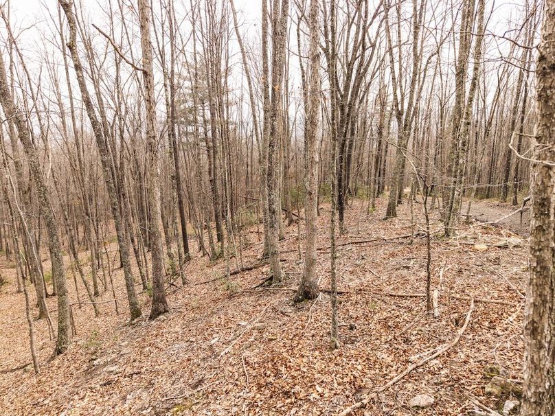 DJI_20260304160322_0030_D