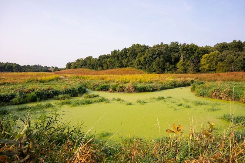 Cedar IA 152 Featured Z45